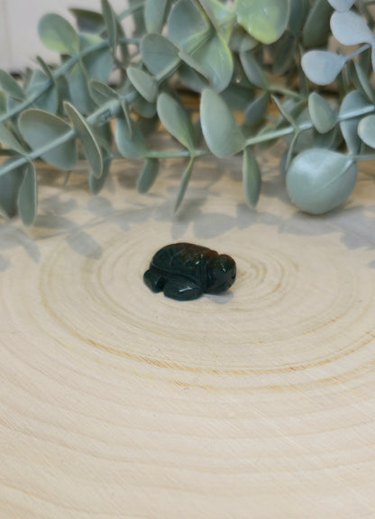 Tortue en Jaspe océan