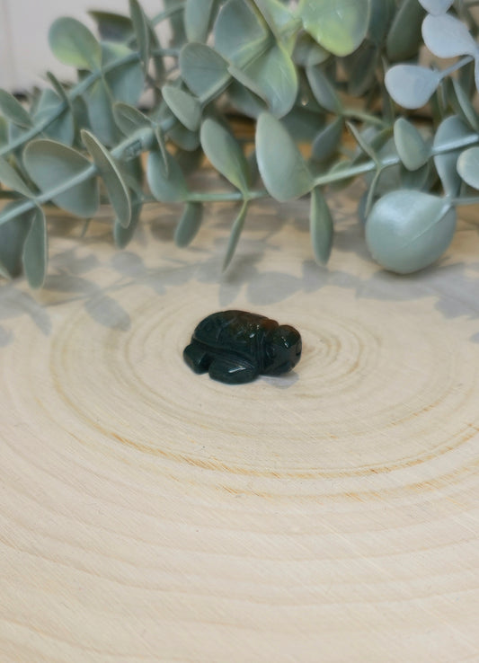 Tortue en Jaspe océan