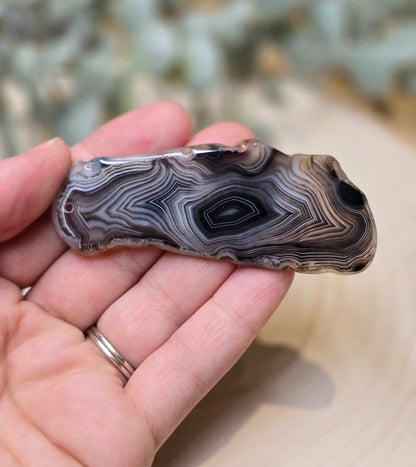 Tranche Sardonyx noire