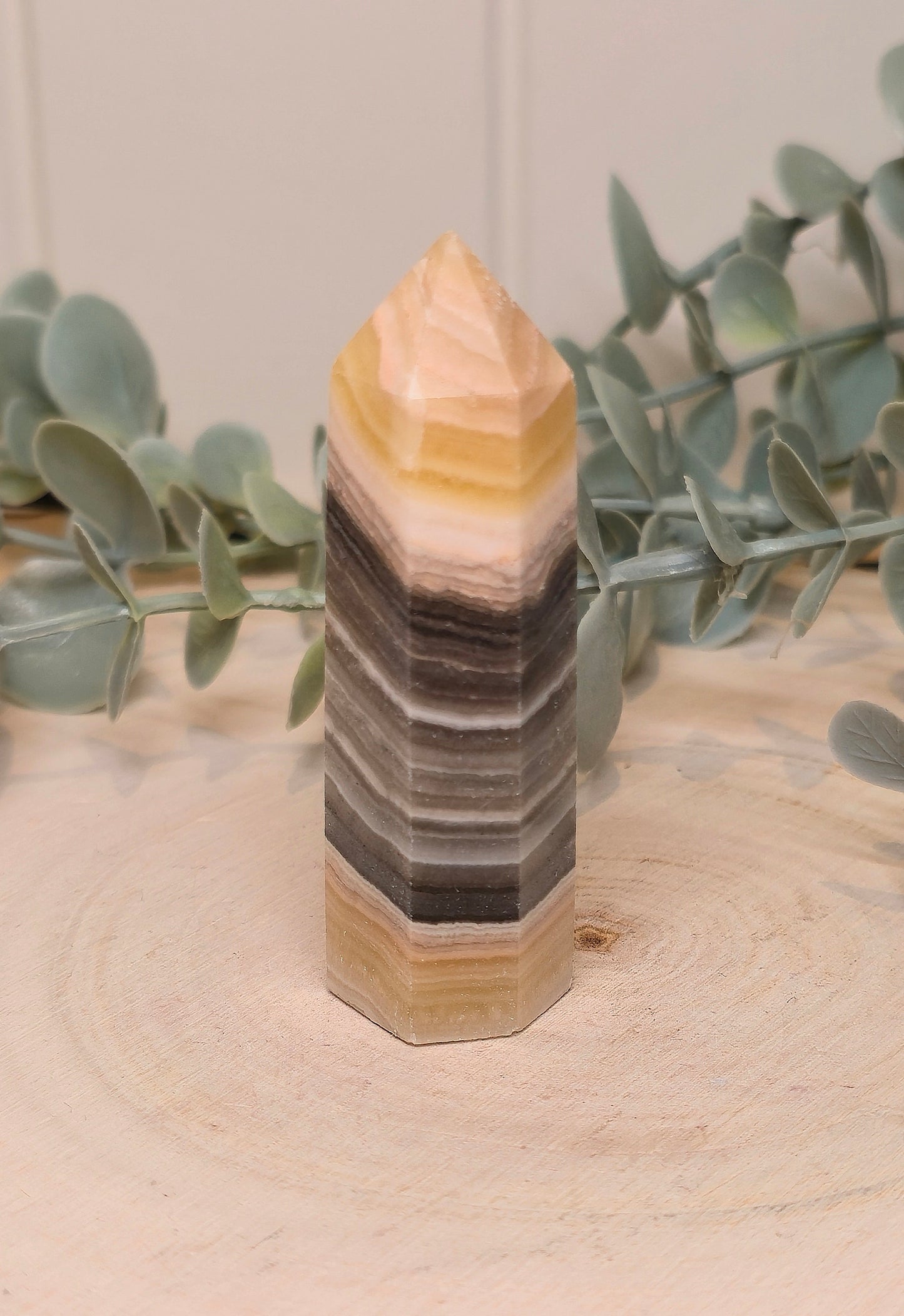Pointe en Calcite zébré