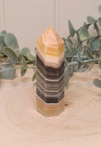 Pointe en Calcite zébré
