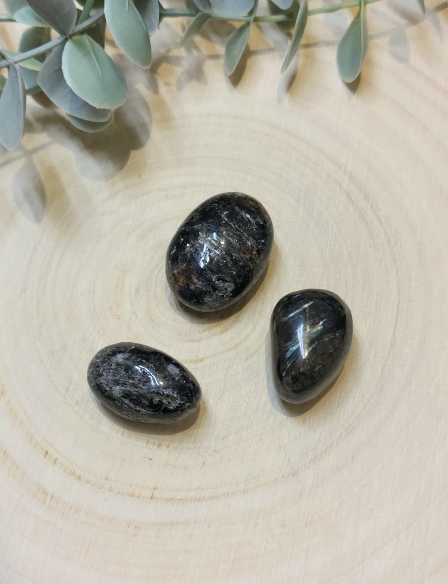 Astrophyllite barattée