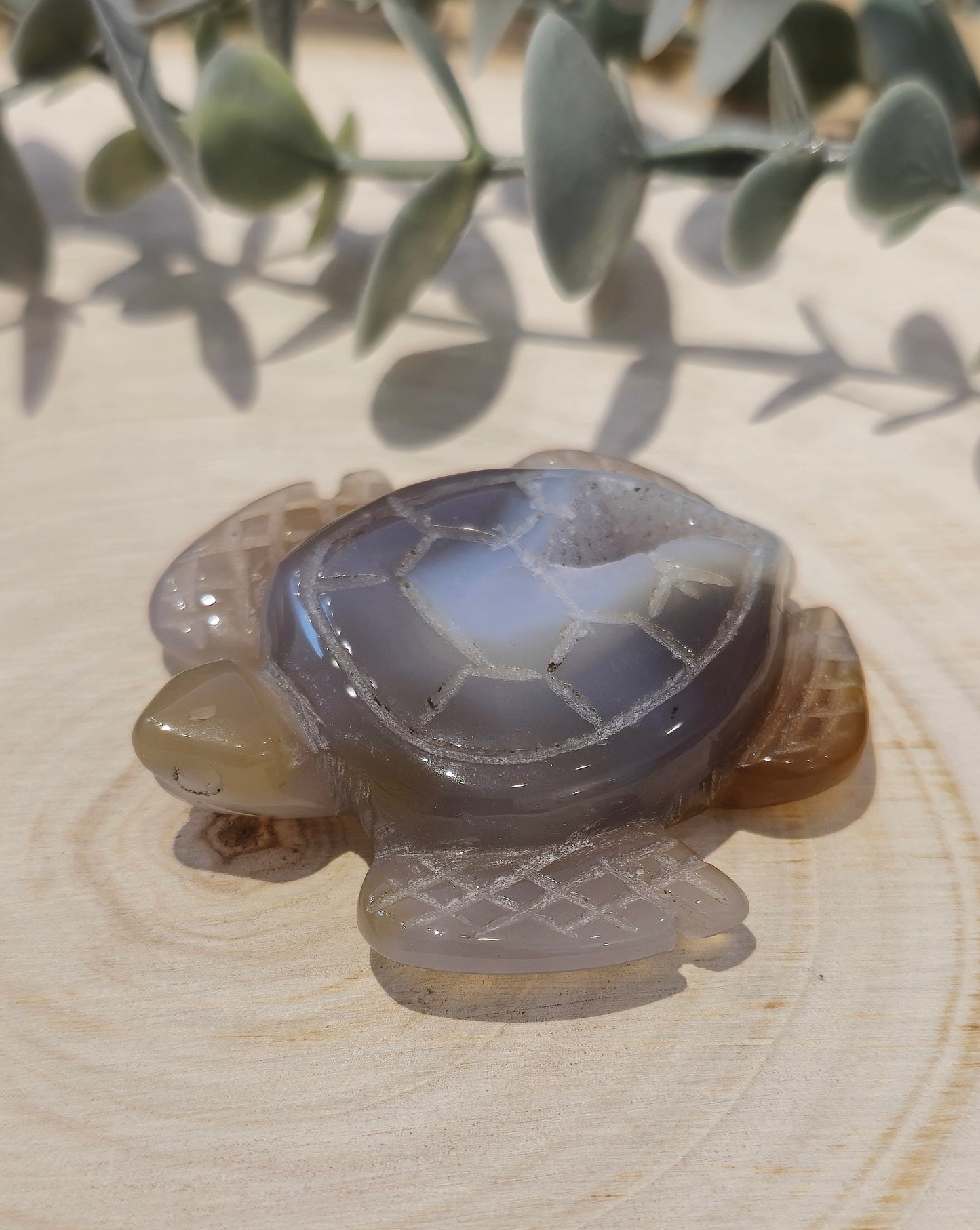 Tortue de mer Agate druzy