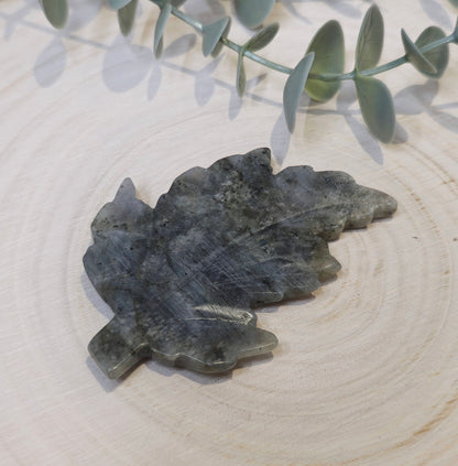 Feuille Labradorite