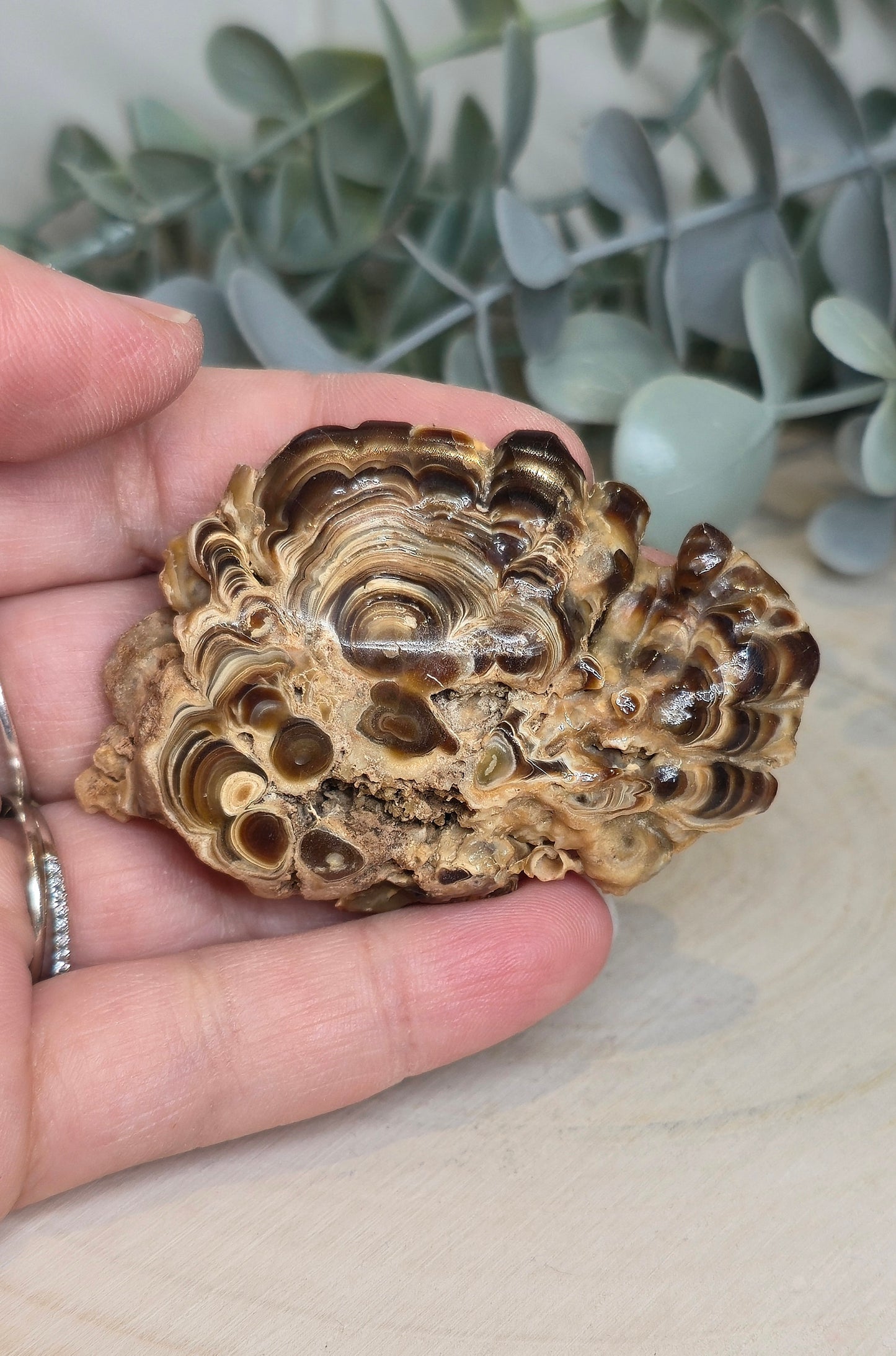 Tranche de Stalactite Aragonite