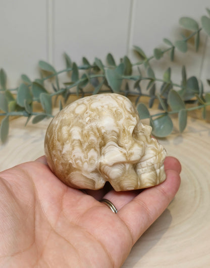 Crâne Agate Fleur ambrée