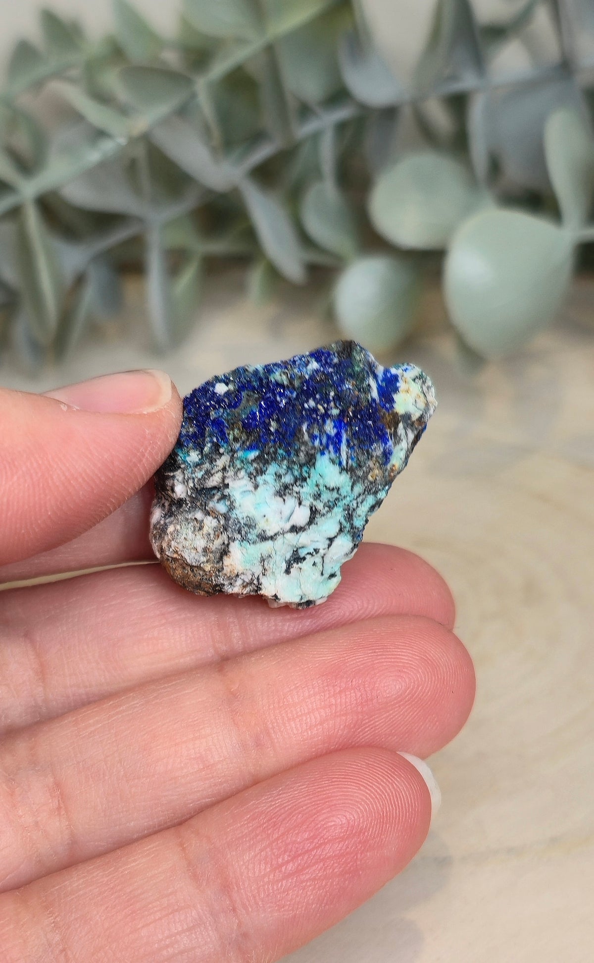Azurite Malachite Chrysocolle brute