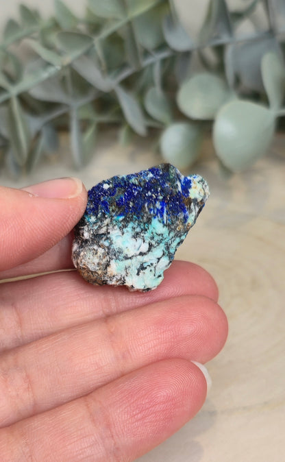 Azurite Malachite Chrysocolle brute