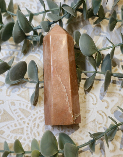 Pointe en Pierre de lune pêche