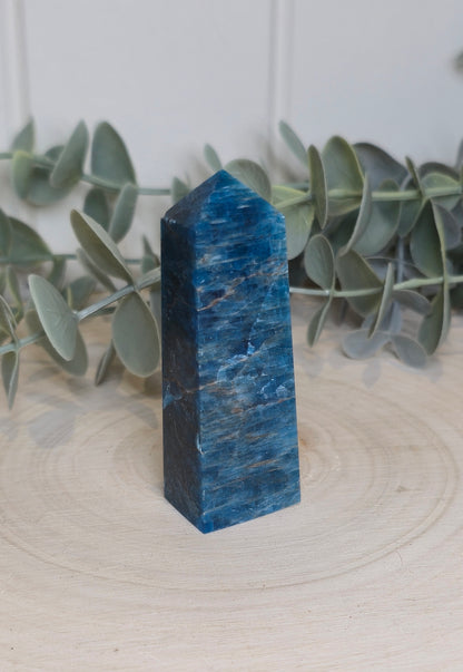 Pointe en Apatite