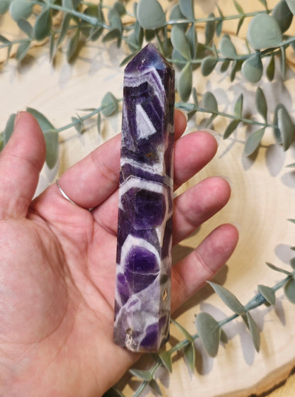 Pointe en Améthyste chevron