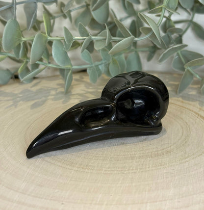 Crâne de corbeau en Obsidienne
