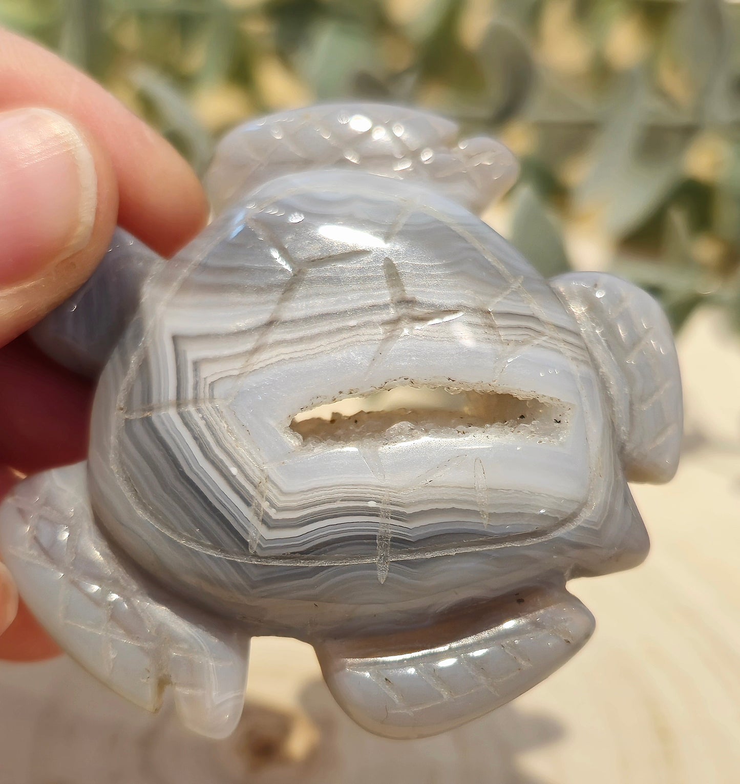 Tortue de mer Agate druzy