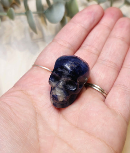 Crâne Sodalite