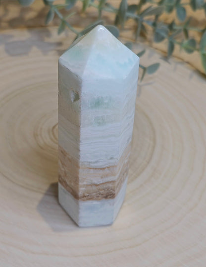 Pointe en Calcite des Caraïbes