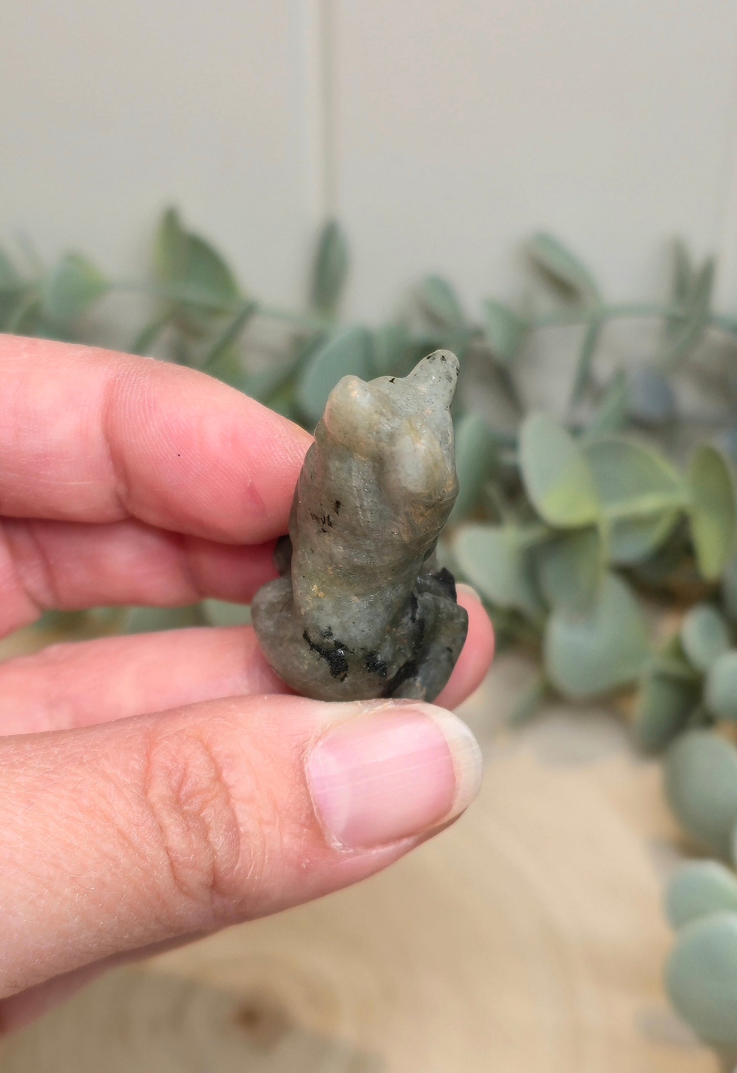 Chien en Labradorite