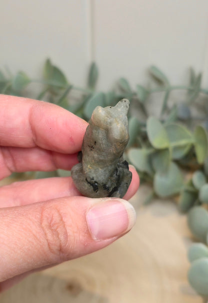 Chien en Labradorite