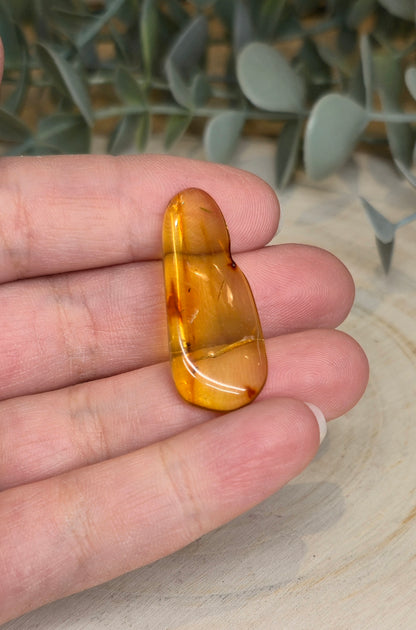 Ambre Baltique barattée