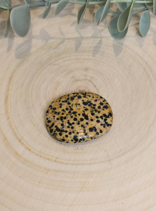 Pierre de paume mince Jaspe Dalmatien