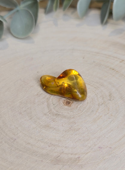 Ambre Baltique barattée