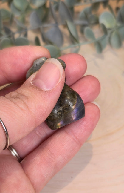 Mini Femme Labradorite