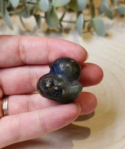 Canard Labradorite