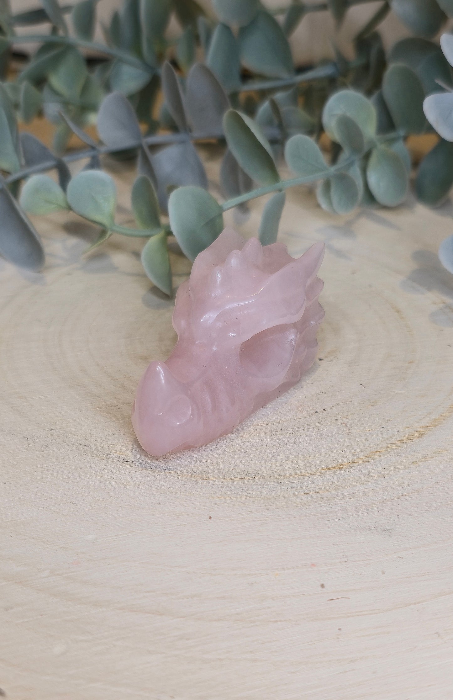 Dragon Quartz rose