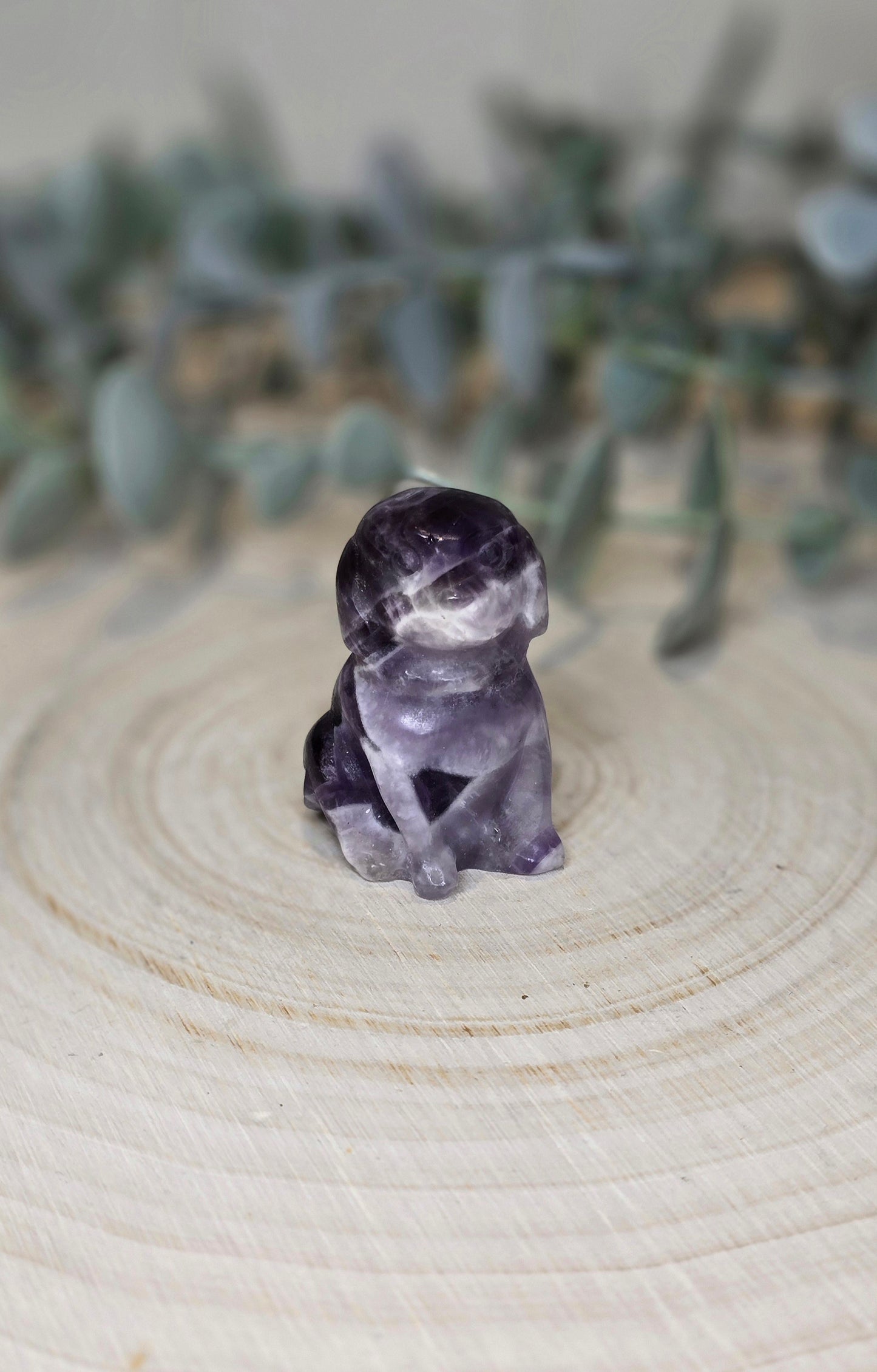 Chien en Améthyste