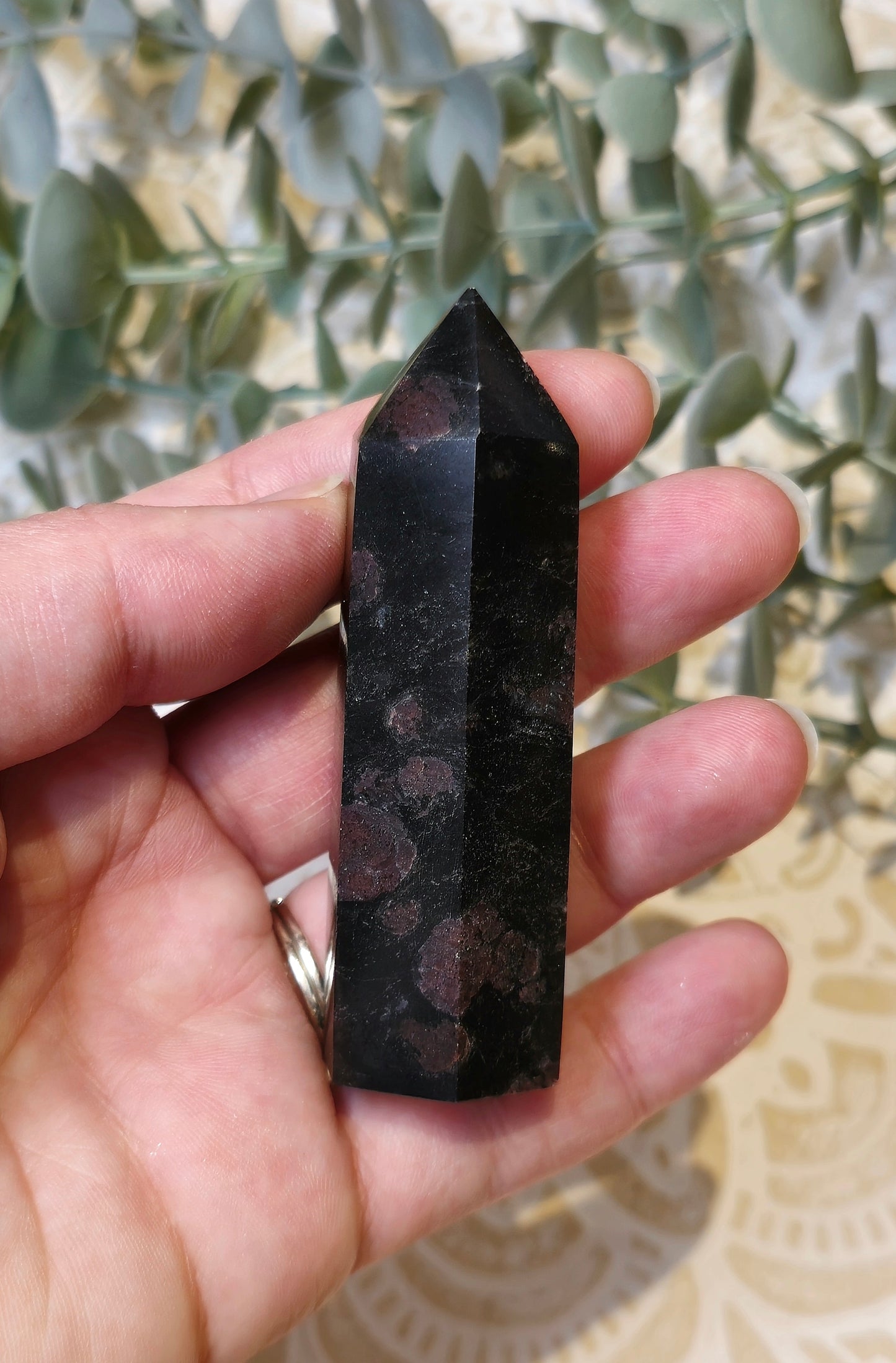 Pointe Grenat dans Astrophyllite