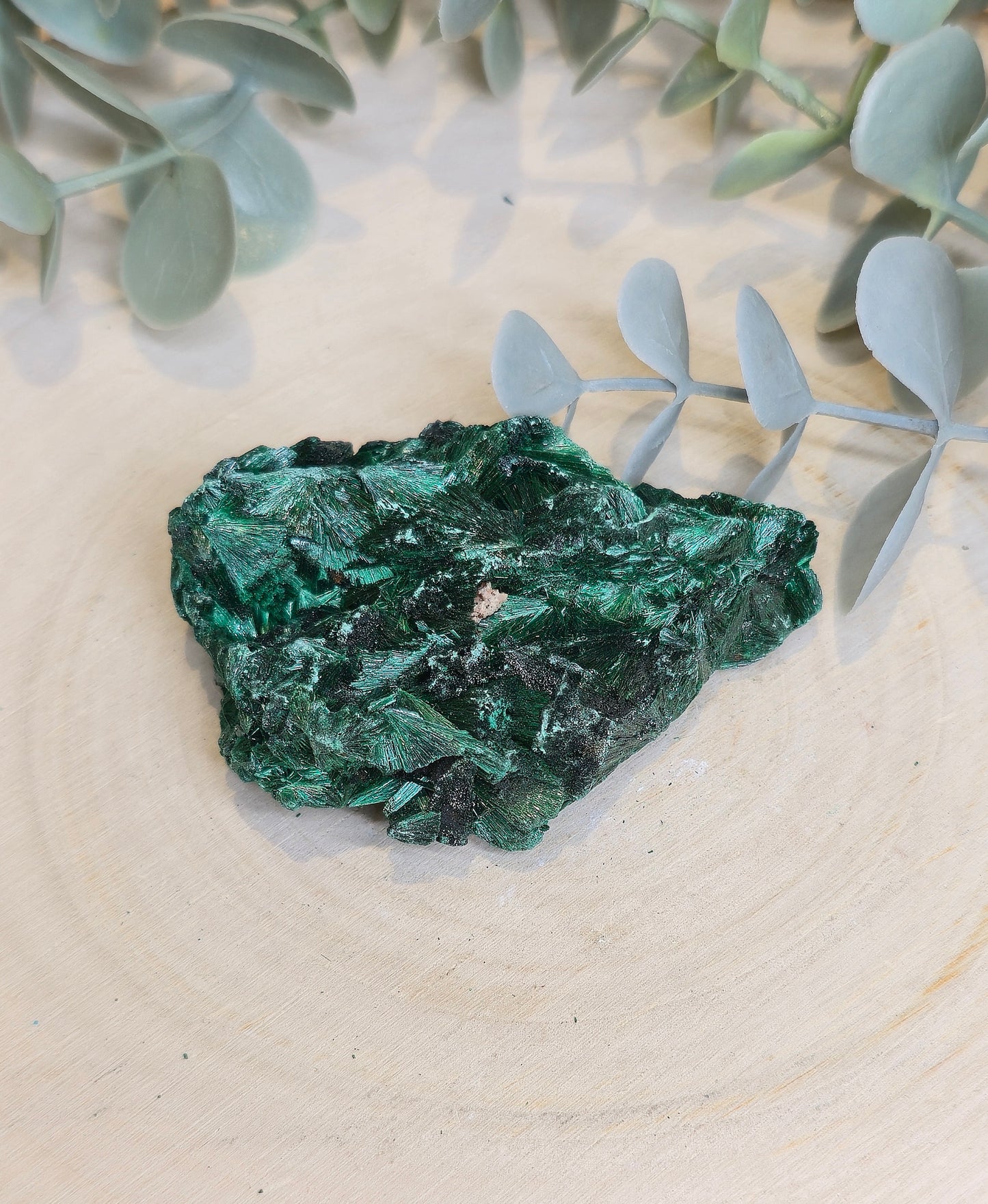 Malachite velour brute de l'Afrique
