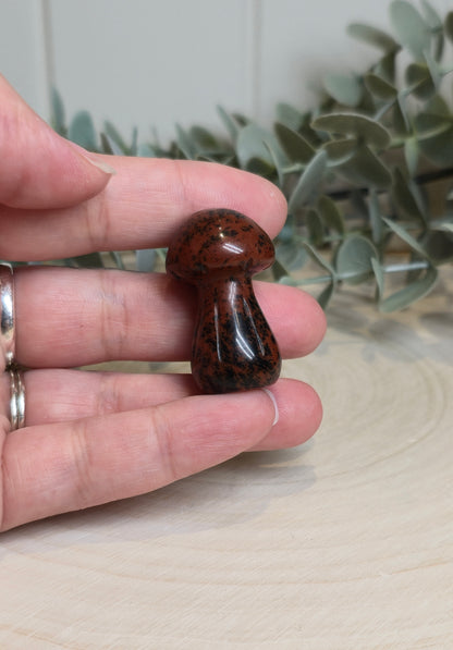 Champignon Obsidienne Acajou