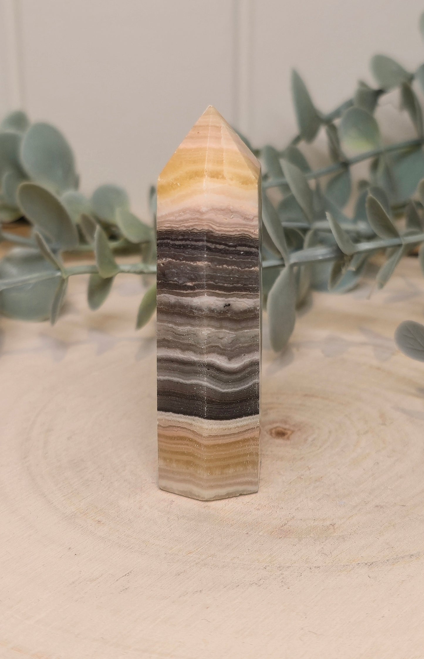 Pointe en Calcite zébré