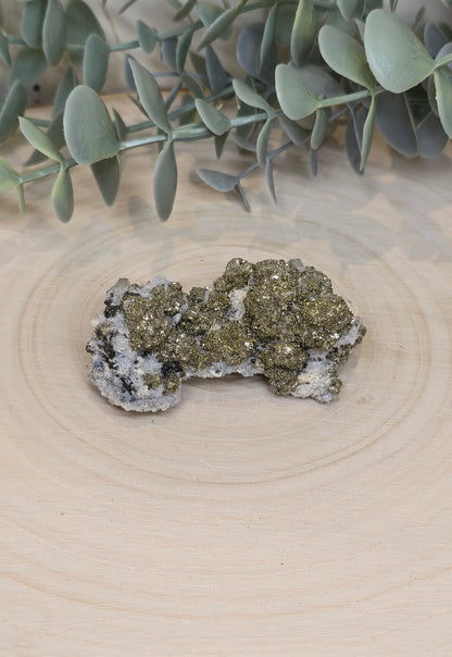Pyrite dans Quartz brute