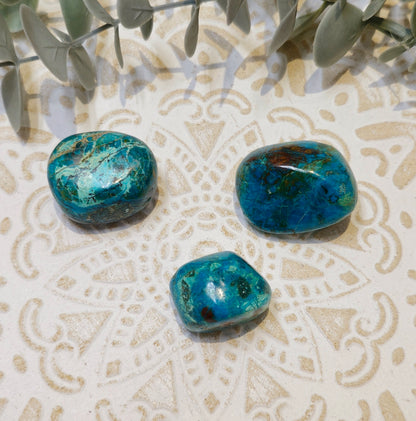 Chrysocolle barattée