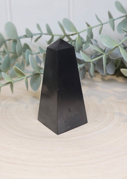 Pointe en Shungite