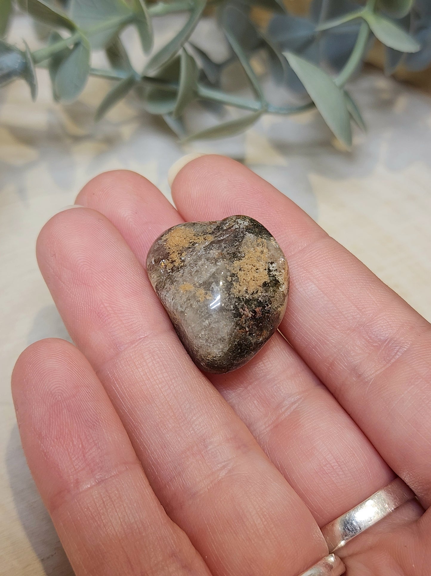 Lodolite (Quartz Shaman)