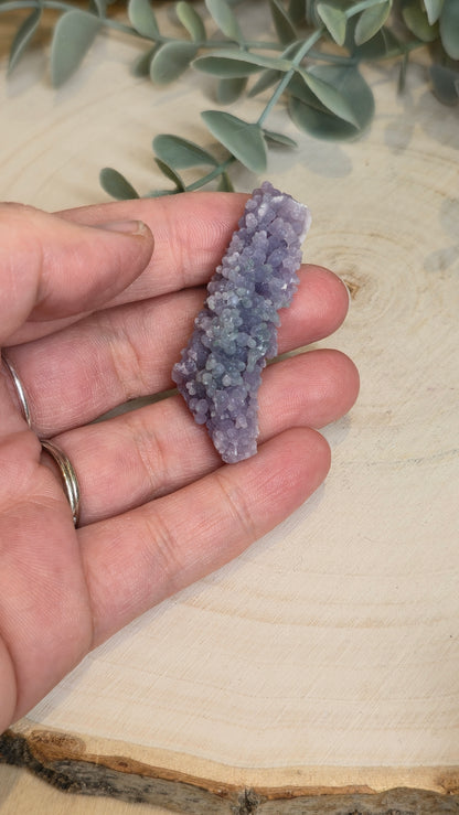 Agate raisin brute