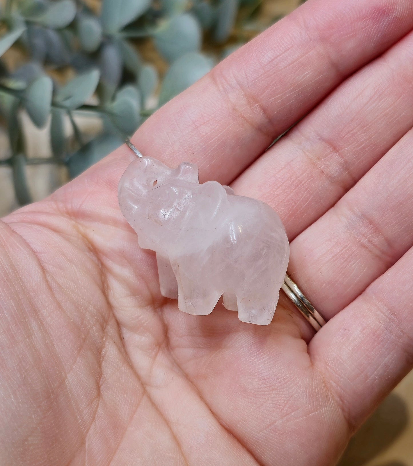 Éléphant Quartz clair