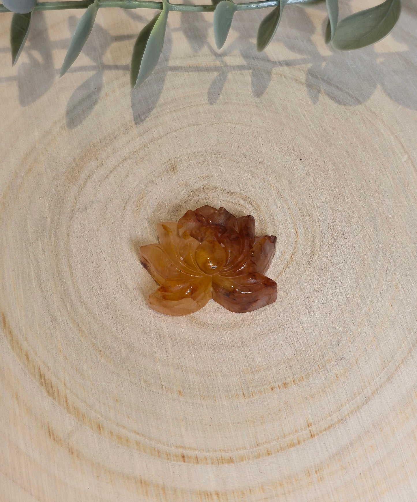 Lotus en Golden healer