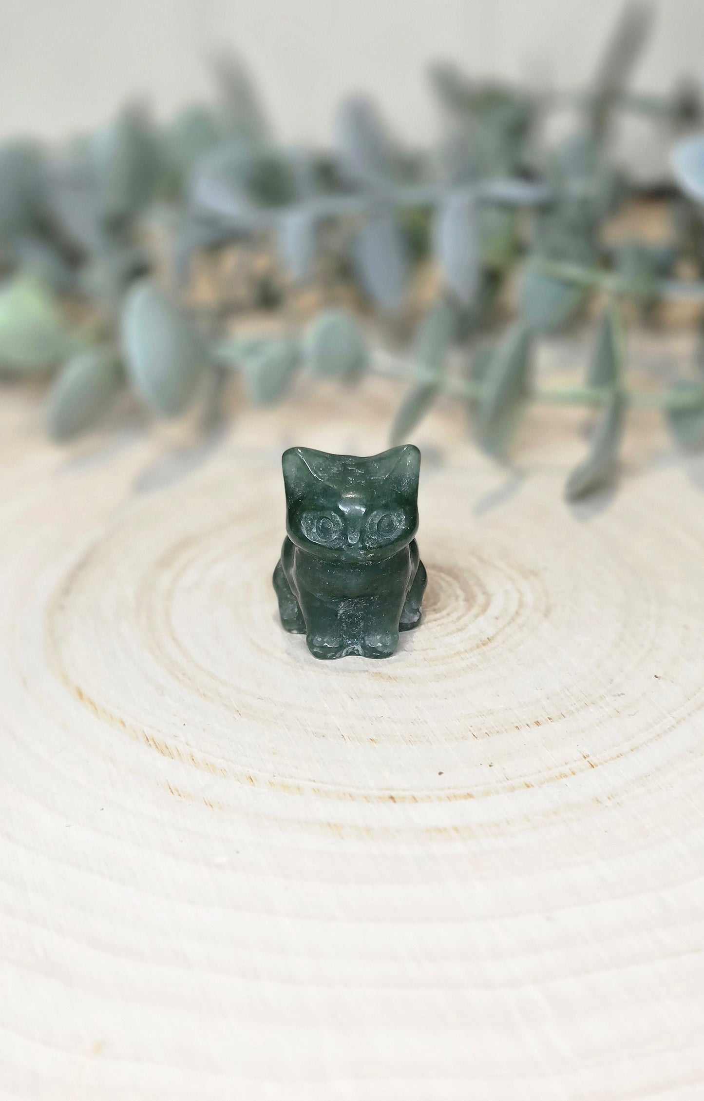 Chat en Aventurine verte