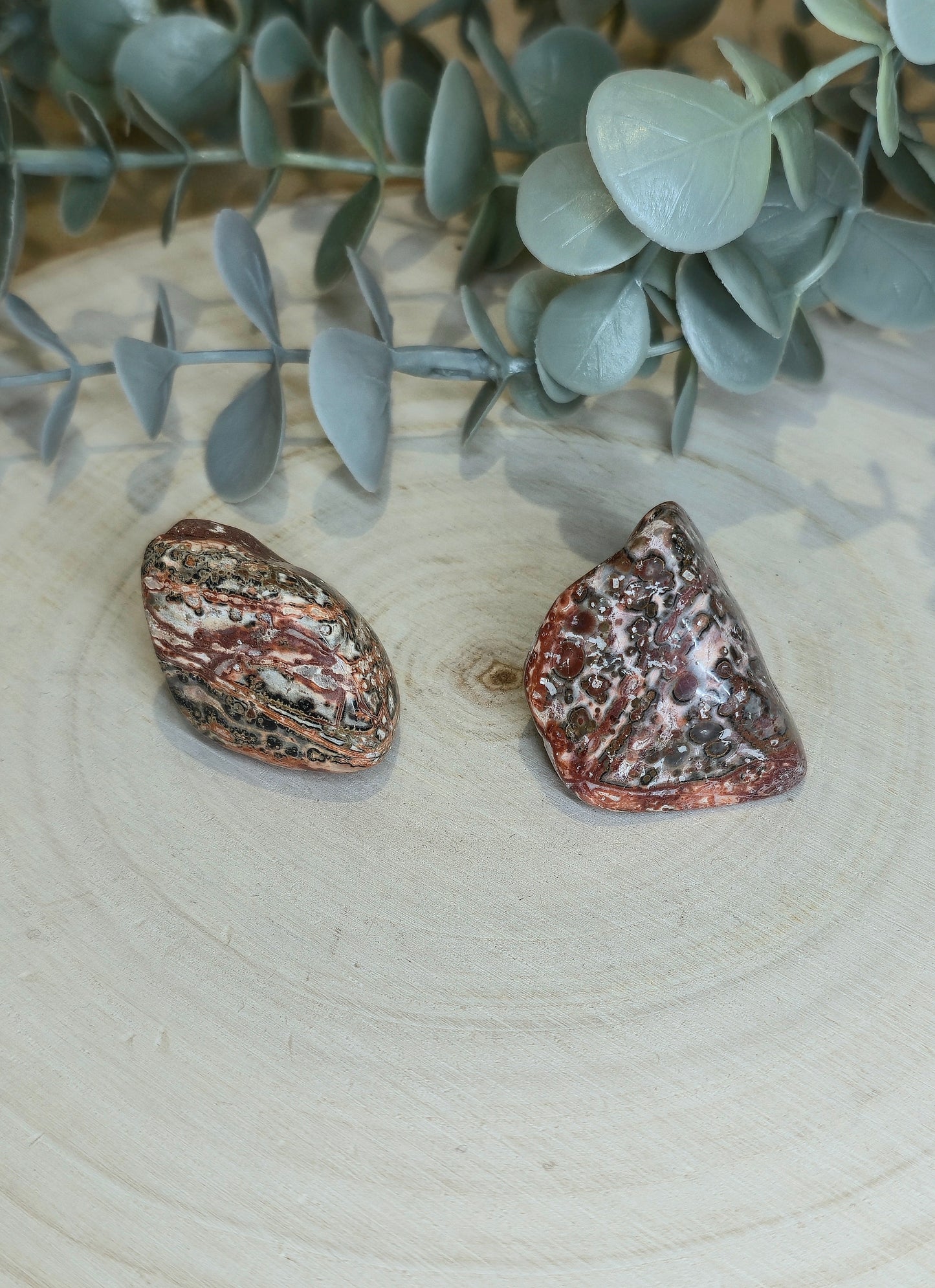 Jaspe Léopard barattée