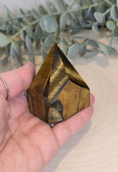 Base Pointe Oeil de tigre