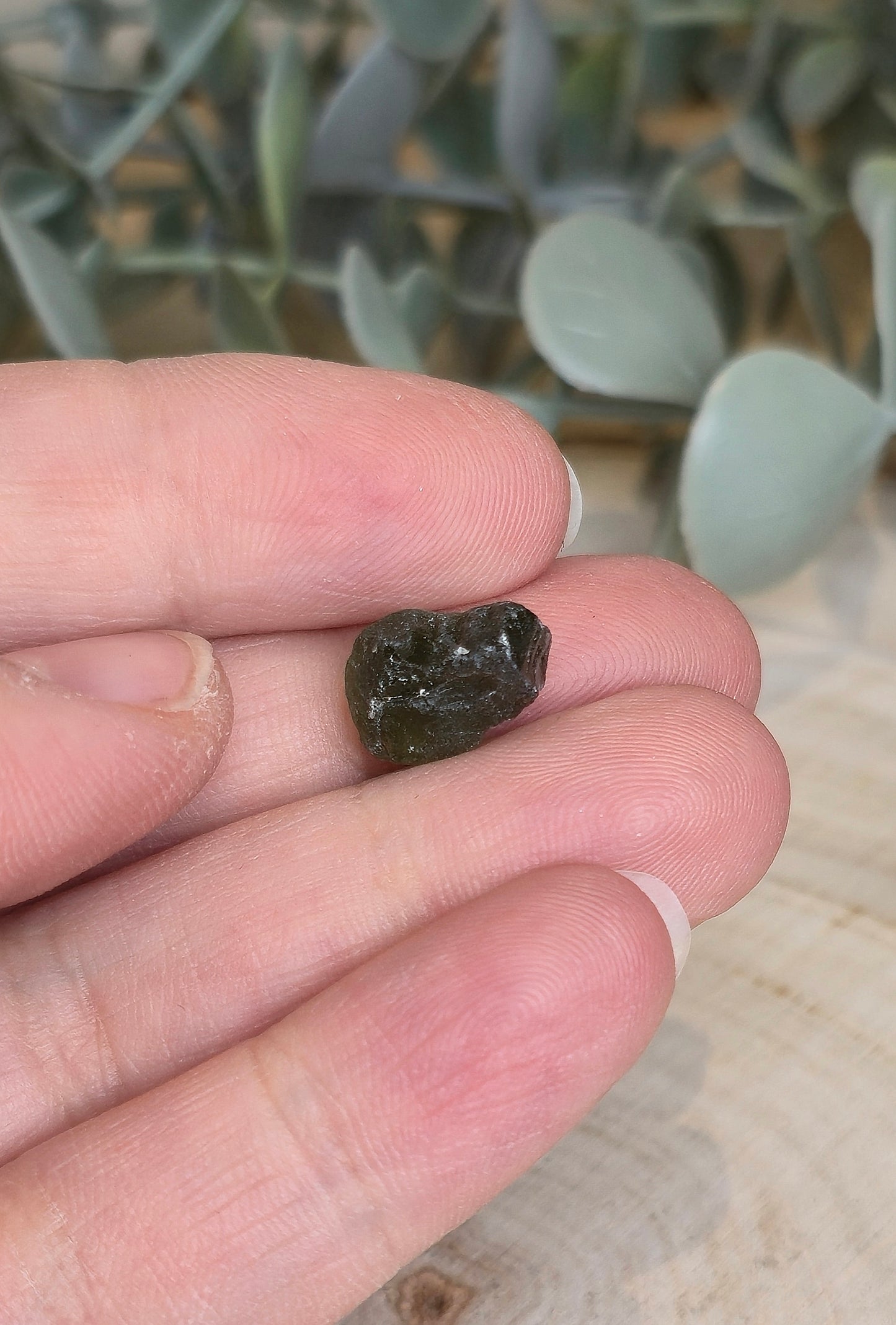 Moldavite brute