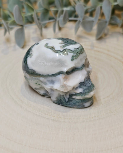 Crâne Agate mousse
