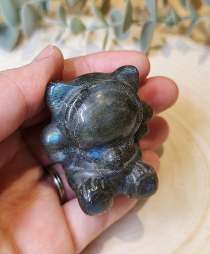 Chat astronaute Labradorite