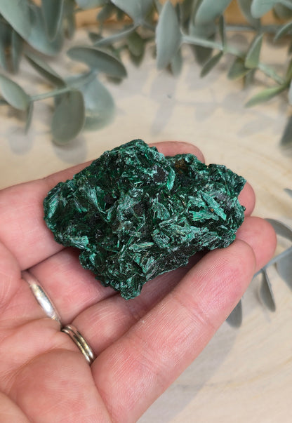 Malachite velour brute de l'Afrique