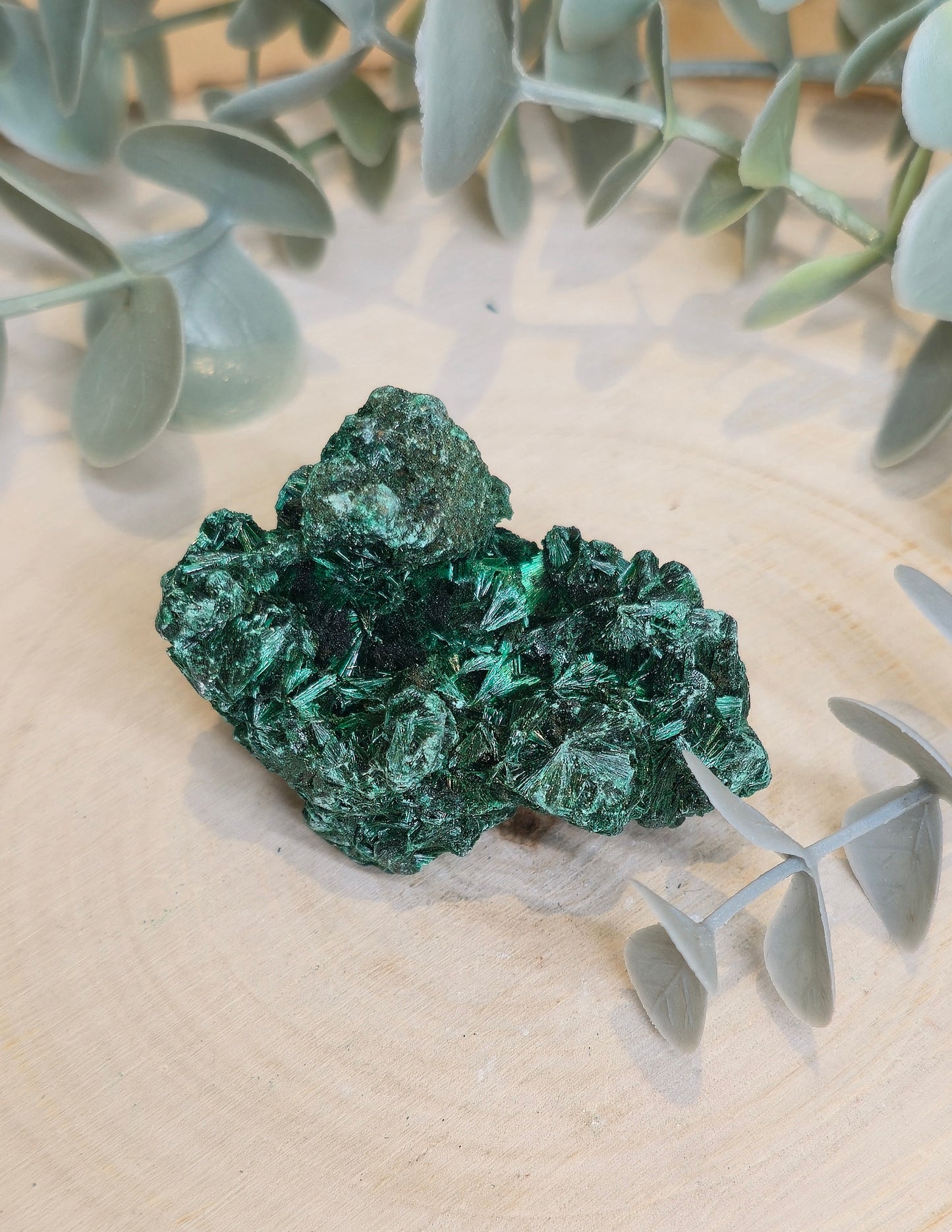 Malachite velour brute de l'Afrique