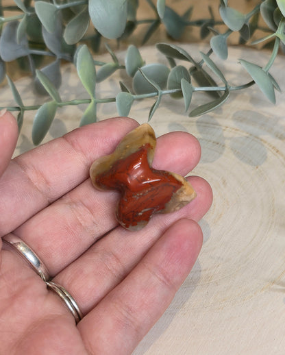 Papillon Jaspe rouge