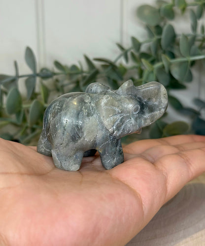 Éléphant Labradorite
