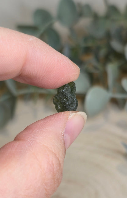 Moldavite brute